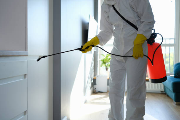 Best Professional Mold Removal  in Lake Alfred, FL